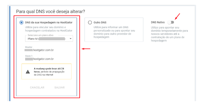 Como Criar Site na Hostgator do zero Sem Contratar Especialista Configure o servidor DNS do seu site 2 - Como Criar Site na Hostgator do zero Sem Contratar Especialista
